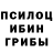 Псилоцибиновые грибы прущие грибы Ienzaghie Huuu