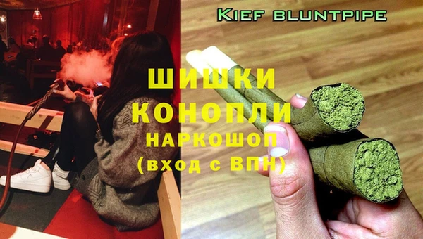 дмт Магас