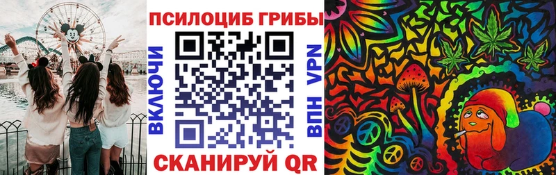Псилоцибиновые грибы Magic Shrooms  Купить закладки  Медынь 